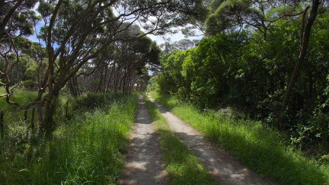 Shady Farm Track Avenue, Golden Bay, New Zealand