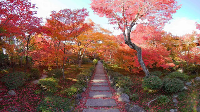 The Hidden Garden, Kyoto, Japan