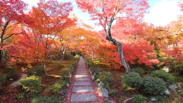 The Hidden Garden, Kyoto, Japan