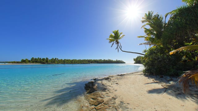 The Photogenic Palm Tree, Aitutaki, Cook Islands