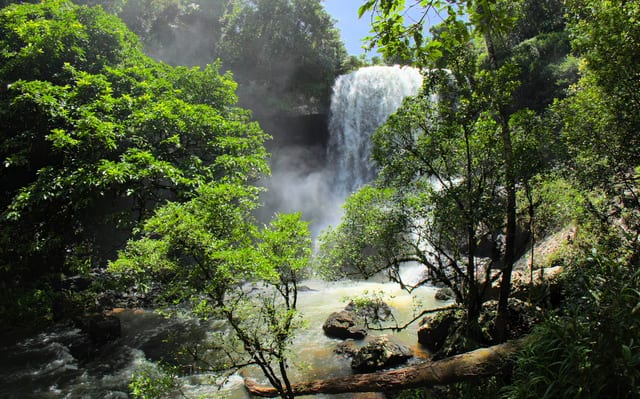 The Waterfall, Far North Queensland, Australia