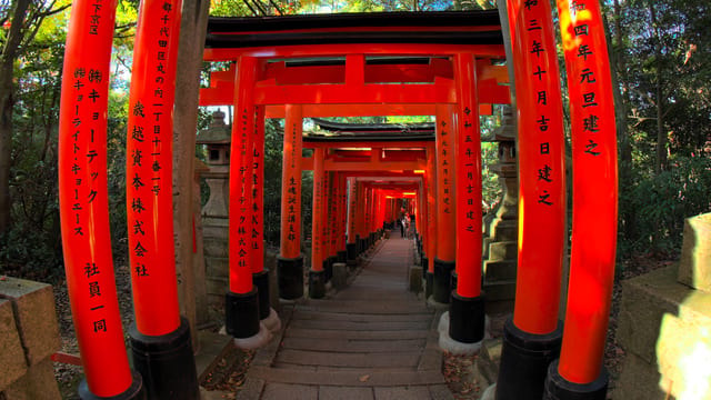 Torii Gates Trail, Kyoto, Japan