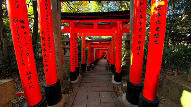 Torii Gates Trail, Kyoto, Japan